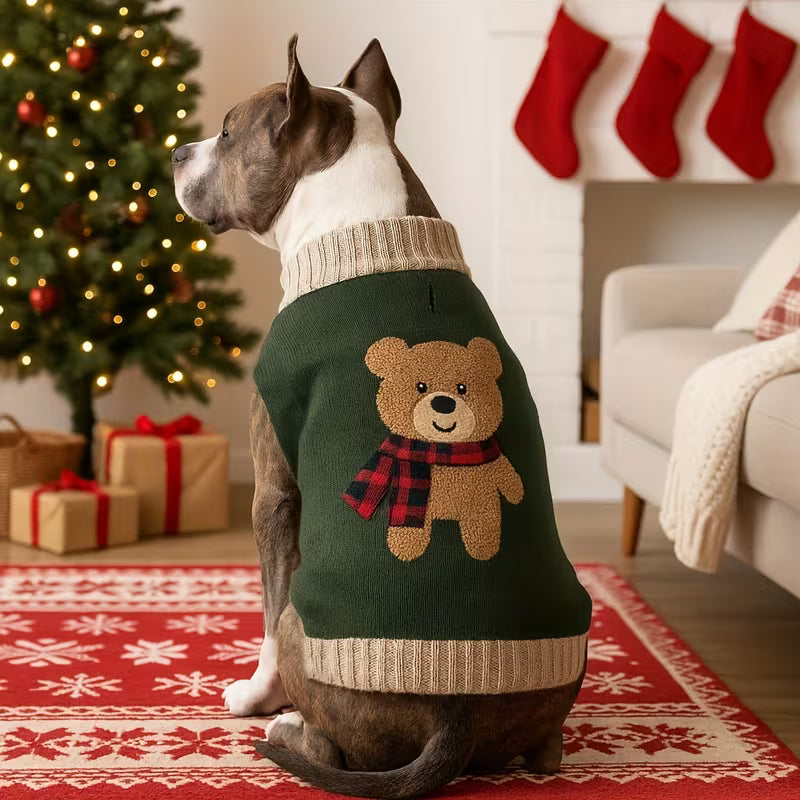 Festive Green Pullover Jumper with Teddy Bear Design, Acrylic Winter Coats for Small & Medium Dogs